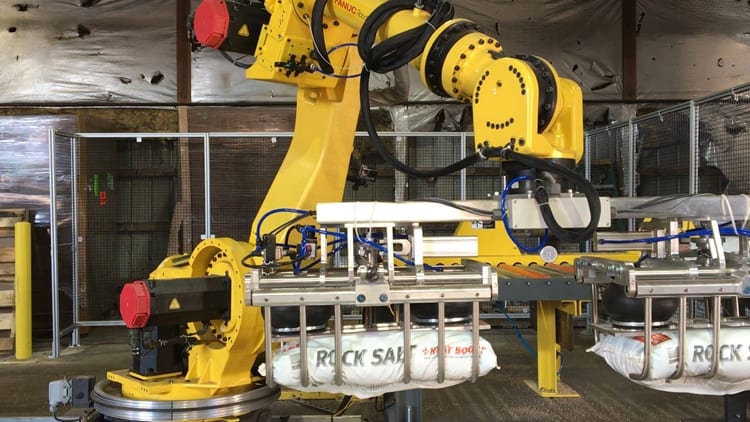 Fanuc Robotic Palletizer